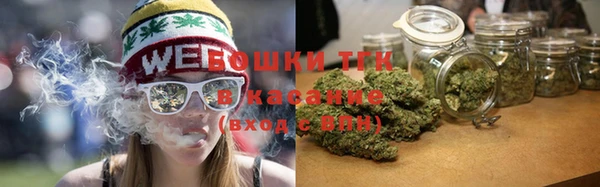 твердый Аркадак