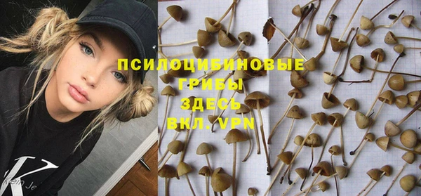 ешки Армянск