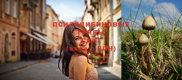 тгк Баксан