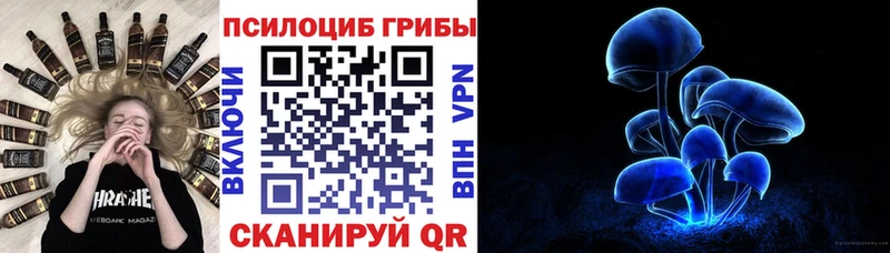 hydra ссылка  как найти   Новомосковск  Галлюциногенные грибы Cubensis 