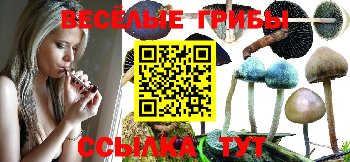 Новомосковск  Псилоцибиновые грибы прущие грибы  Галлюциногенные грибы Cubensis  Вход с VPN 