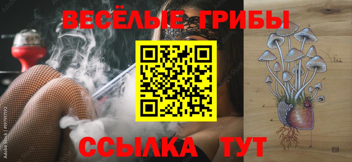 Галлюциногенные грибы Psilocybine cubensis Новомосковск